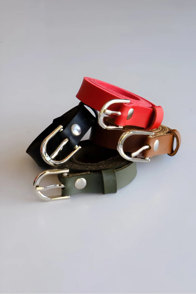 4'lü Kemer Takım, Siyah - Kırmızı - Haki ve Taba Kemer (Silver Aksesuar) - Angels Passion Harness