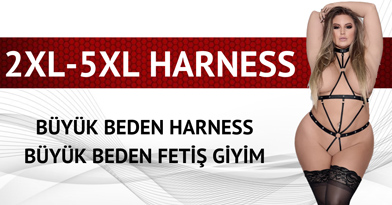 ps-harness.jpg (50 KB)