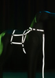 Köpek Harness