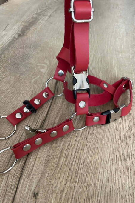 Deri Kedi Harness , Kedi Gezdirme Tasması - NPC005 - 3