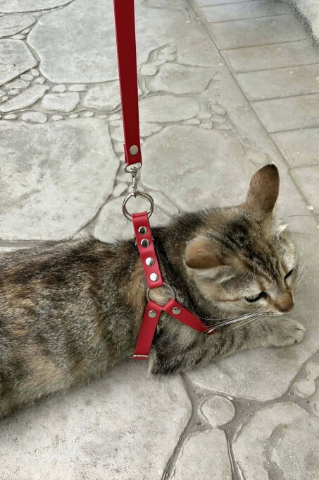 Deri Kedi Harness , Kedi Gezdirme Tasması - NPC005 - 1