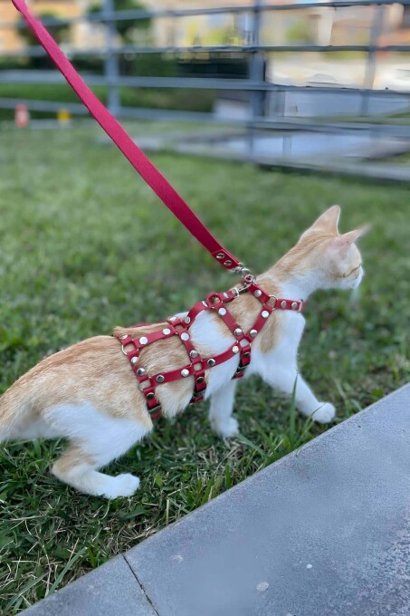 Full Body Kedi Harness, Kedi Gezdirme Tasması, Kedi Sokak Tasması - NPC011 - 2