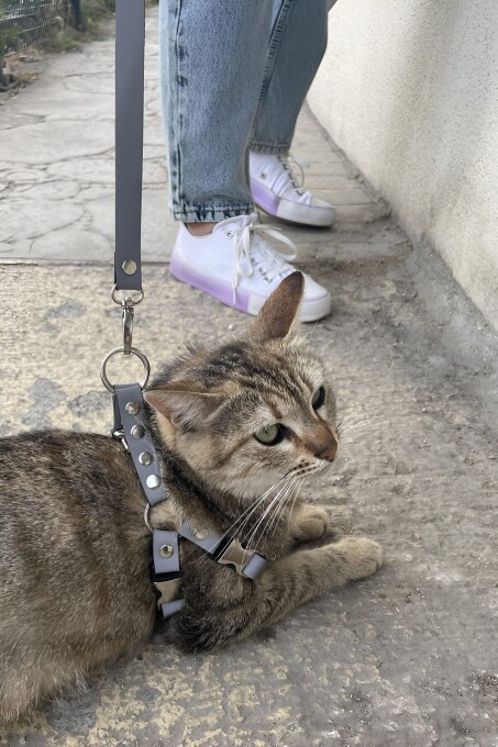 Karanlıkta Yansıyan Reflektörlü Kedi Harness , Özel Tasmalı Kedi Harness - NPC005 - 3