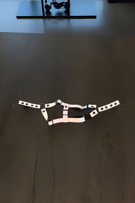 Karanlıkta Yansıyan Reflektörlü Kedi Harness , Özel Tasmalı Kedi Harness - NPC005 - 2