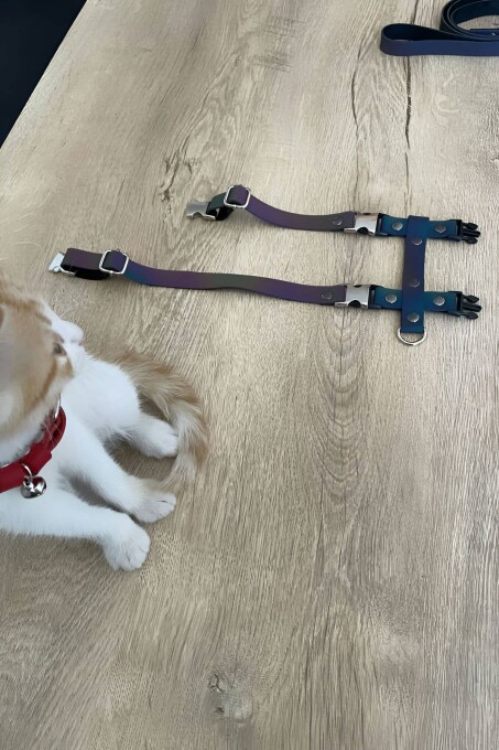 Kedi Reflektörlü Harness Göğüs Ve Gezdirme Seti - NPC007 - 2