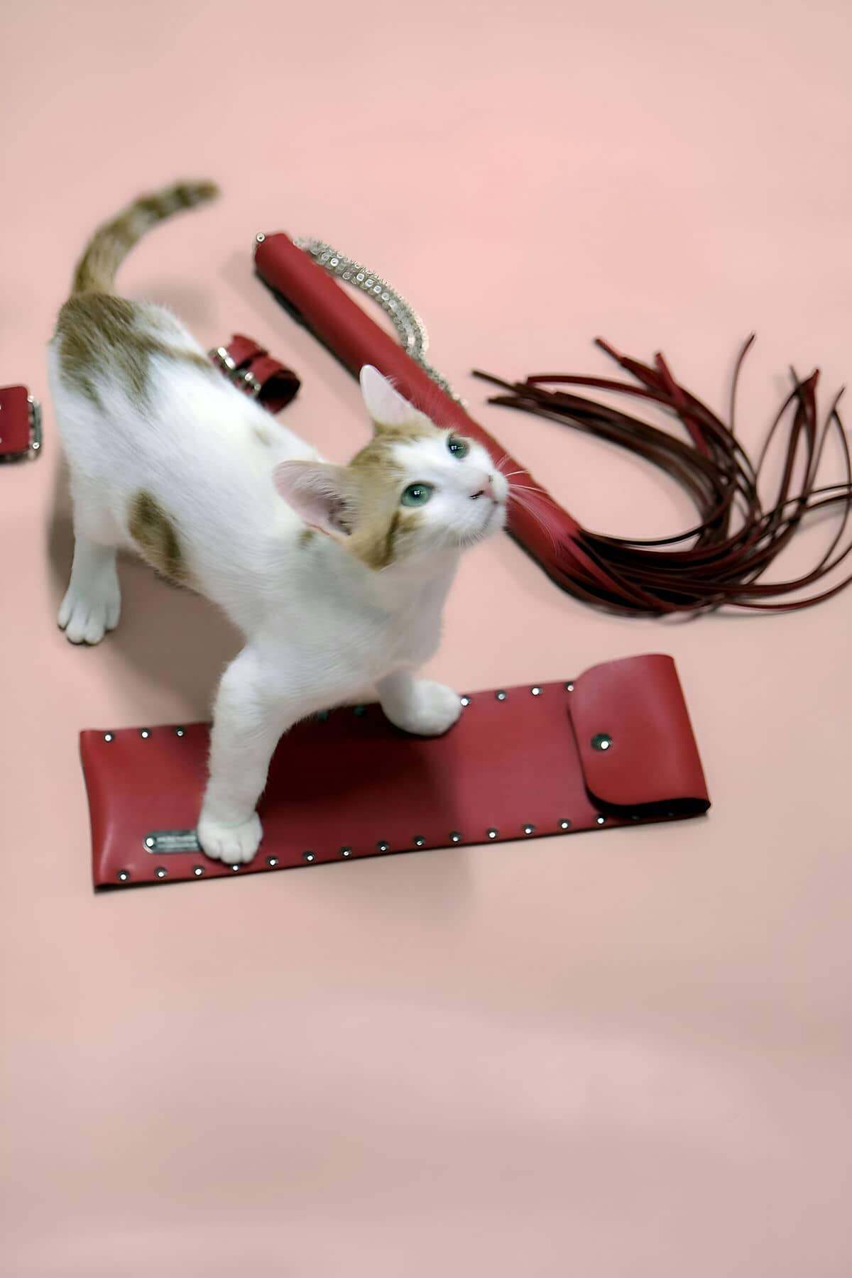 Kırbaç - Kelepçe Set, Kırbaç Takım,  Kelepçe Takım - 1304