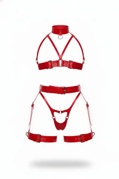 Kırmızı Harness Takım Deri Yüksek Yaka Gerdanlık Detaylı - APFT1378 - 1