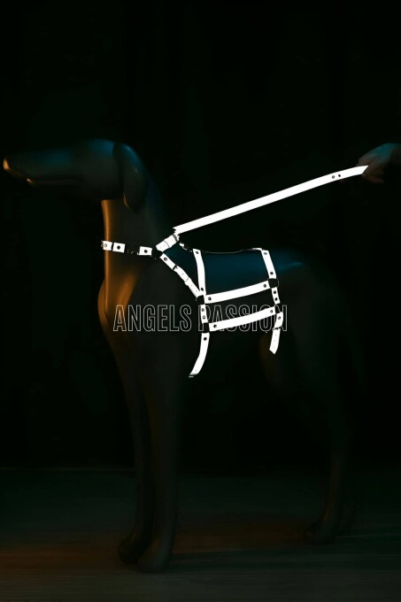 Reflektörlü - Ayarlanabilir Köpek Harness - Köpek Gezdirme Aparatı - NPD007 - 1