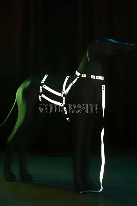 Reflektörlü - Ayarlanabilir Köpek Harness - Köpek Gezdirme Aparatı - NPD007 - 3