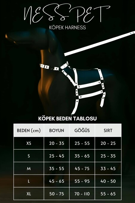 Reflektörlü - Ayarlanabilir Köpek Harness - Köpek Gezdirme Aparatı - NPD007 - 4