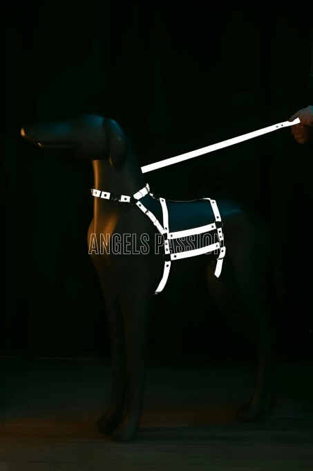Reflektörlü - Ayarlanabilir Köpek Harness - Köpek Gezdirme Aparatı - NPD007 - 5