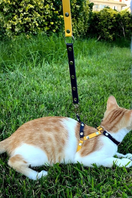 Sarı Lacivert Fanatik Kedi Tasması, Kedi Gezdirme Tasması, Kedi Göğüs Tasması - NPC003 - 4