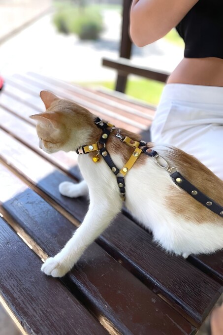 Sarı Lacivert Fanatik Kedi Tasması, Kedi Gezdirme Tasması, Kedi Göğüs Tasması - NPC003 - 2