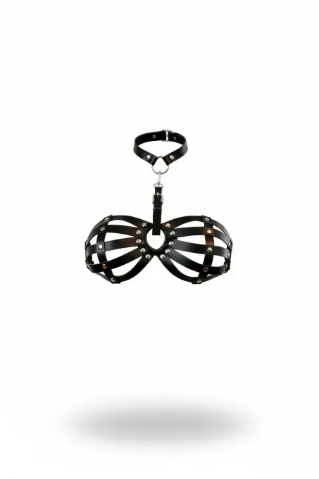 Siyah Göğüs Harness Kafes Detaylı Zımbalı Boyunluk - APFT224 - 1