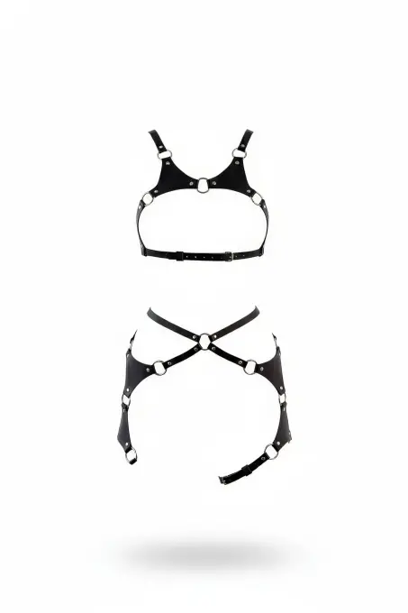 Siyah Harness Takım Deri O-Halkalı Ayarlanabilir - APFT1253 - 1